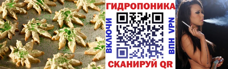 Купить закладки  Могоча  Cannafood конопля 