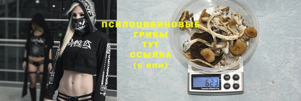винт Нефтекумск