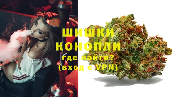 трава Нея