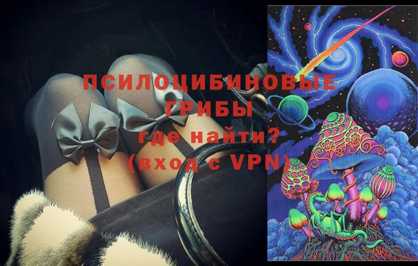 прущие грибы Надым