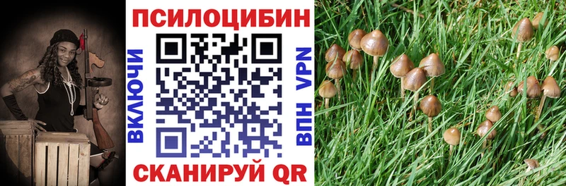 Купить закладки  Могоча  Галлюциногенные грибы Cubensis 